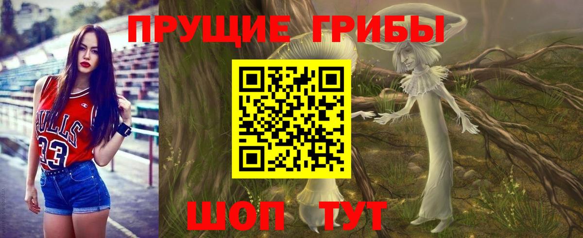 Дальнегорск  Псилоцибиновые грибы прущие грибы  Вход с VPN 
