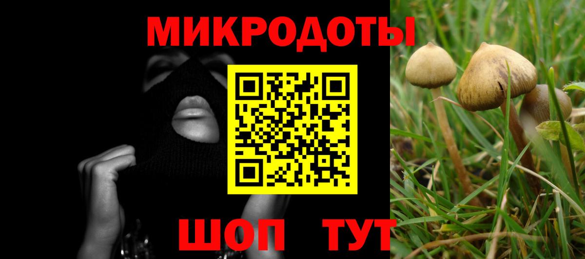 Галлюциногенные грибы мицелий Дальнегорск